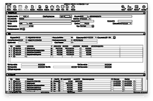 supporto online software per aziende